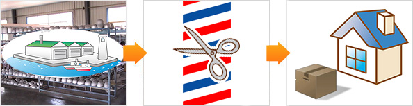 完成品は届いてスグご使用できます 完成品は届いてスグご使用できます