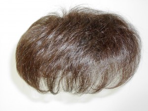 見本かつら 見本かつら