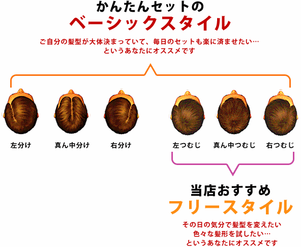 かつらのスタイル