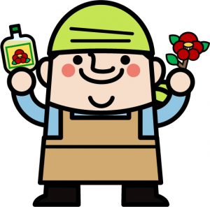 かつらに椿油 かつらに椿油