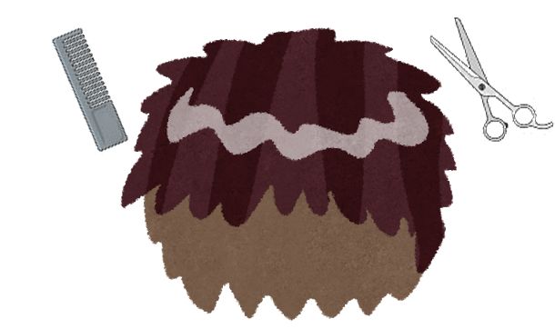 全頭かつら 全頭かつら