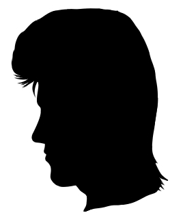 かつら(オールバック・リーゼント) かつら(オールバック・リーゼント)