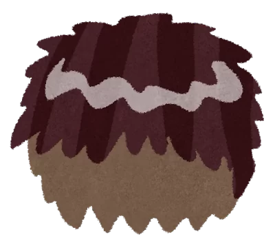 全体かつらの装着 全体かつらの装着